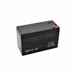 GLOBAL GARDEN PRODUCT 118120004/0 - Batterie Sèche 12V - 7AH Pour Tondeuse Autoportée Castelgarden / GGP