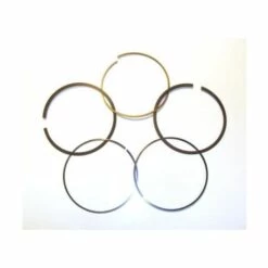 797011 - Jeu De Segments Pour Moteur BRIGGS Et STRATTON