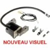 Bobine Allumage Briggs Et Stratton -France Tondeuse Soldes Boutique 11012208 1