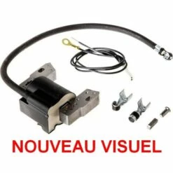 Bobine Allumage Briggs Et Stratton