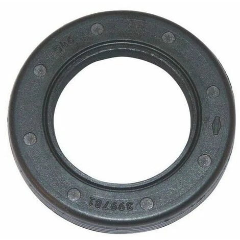 Joint Spi Moteur Briggs Et Stratton 4 Joint Spi Moteur Briggs Et Stratton – Image 2