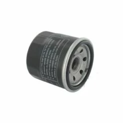 ADAPTABLE Filtre A Huile Briggs Et Stratton - 820314