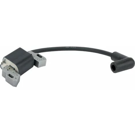 Bobine Allumage Moteur Tondeuse Briggs Et Stratton 595009 3 Bobine Allumage Moteur Tondeuse Briggs Et Stratton 595009