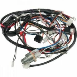 GGP/CASTELGARDEN Faisceau électrique Complet Autoporté GGP