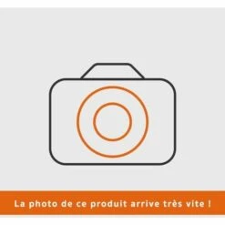 Rondelle Régulateur Tracteur Tondeuse Moteur Kohler