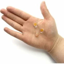 PESCE 50 Pack Connecteurs De Câble Remplis Des Résines Pour Robot Tondeuse Automower,Réparer Fil Electrique Bas Voltage Tondeuse Automatique - Étanches, Sûrs, Dénudage Inutile 11 PESCE 50 Pack Connecteurs De Câble Remplis Des Résines Pour Robot Tondeuse Automower,Réparer Fil Electrique Bas Voltage Tondeuse Automatique - Étanches, Sûrs, Dénudage Inutile -France Tondeuse Soldes Boutique 61284292 5