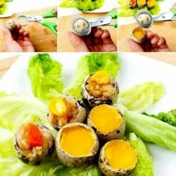 THSINDE Lot De 4 Ciseaux à œufs De Caille, Ciseaux à œufs De Caille En Acier Inoxydable, Petits Ciseaux à œufs De Caille -France Tondeuse Soldes Boutique 67503636 4