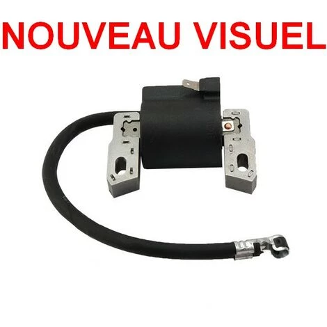 Bobine Allumage Briggs Et Stratton Moteur Quantum 5 Et 6.75cv 3 Bobine Allumage Briggs Et Stratton Moteur Quantum 5 Et 6.75cv